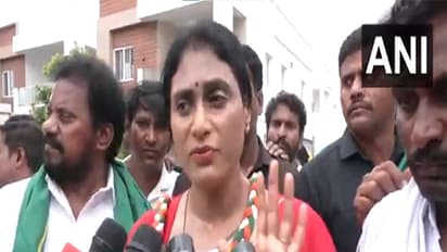  Andhra Pradesh Congress Committee (APCC) chief YS Sharmila (Photo/ANI)