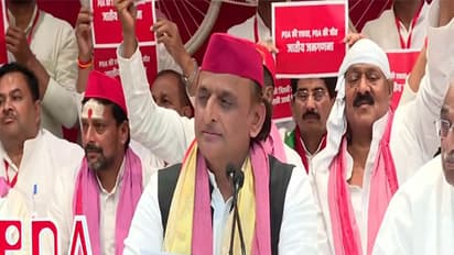  Samajwadi Party chief Akhilesh Yadav (Photo/ANI)