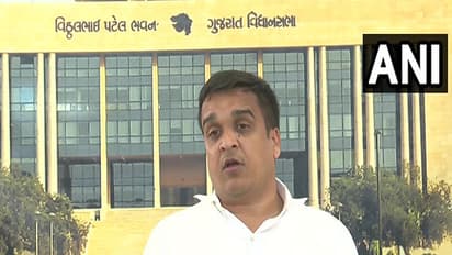 Gujarat Home Minister Harsh Sanghavi (File Photo/ANI)