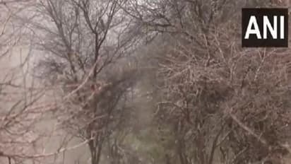 A suspicious object recovered by the Jaisalmer Police (Photo/ANI)