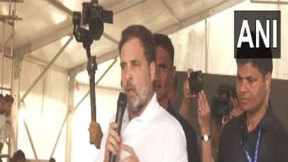 Lok Sabha Leader of Opposition and Congress leader Rahul Gandhi (Photo/ANI)