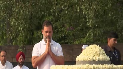 Congress MP Rahul Gandhi paying tribute to his father and former PM Rajiv Gandhi (Photo/ANI) 