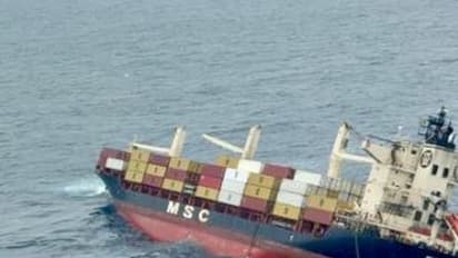  Liberian container ship (Photo/ANI)