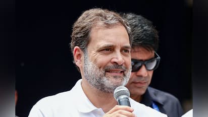 Congress leader and Leader of the Opposition in Lok Sabha Rahul Gandhi. (File Photo/ANI)