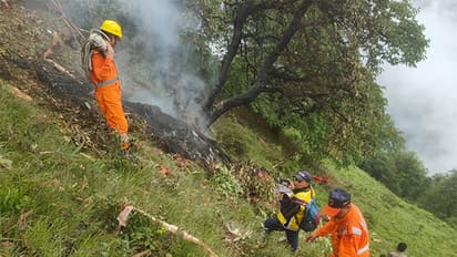 Visuals from the site of crash (Photo/SDRF)