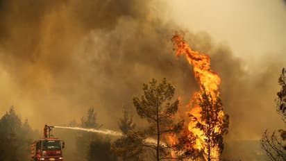 Turkish wildfire leaves charred home and ashes, as blazes spread. (Photo/Reuters)