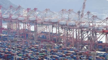 Representative Image (Image/Newsis)