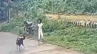 Screegrab of dog attack video posted by BJP (Photo/@BJP4Karnataka)