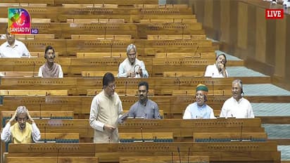Union Minister Piyush Goyal in Lok Sabha (Image: Sansad TV)