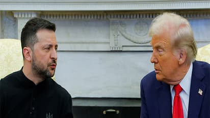 Ukrainian President Volodymyr Zelensky and US President Donald Trump (File Photo/Reuters)