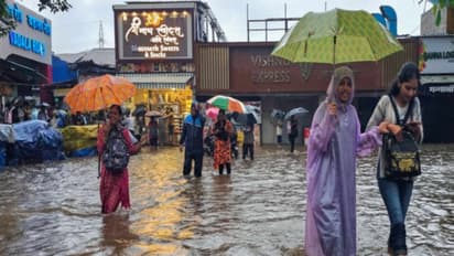 Representative Image (Photo/ANI)