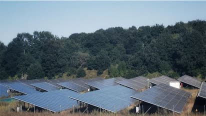 Representative Image (Image/Pexels)