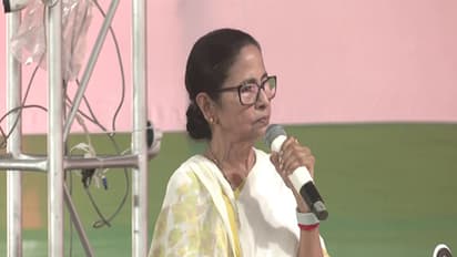 West Bengal CM Mamata Banerjee. (Photo/ANI)