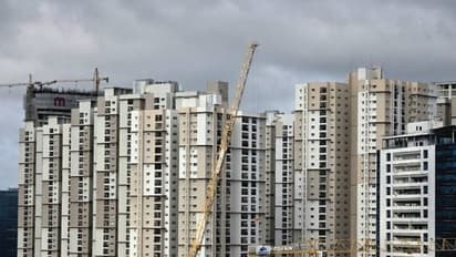 Representative Image (Image/Pexels)