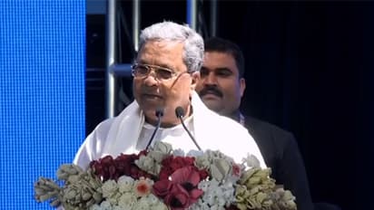 Karnataka Chief Minister Siddaramaiah (Photo/ANI)