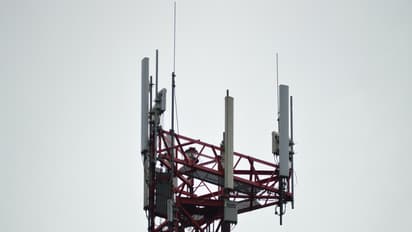 Representative Image (Image: Pexels.com)