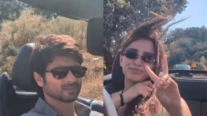 Shahid Kapoor, Triptii Dimri (Image Source: Instagram)