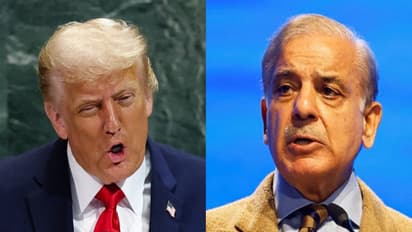 US President Donald Trump (L), Pakistan's Prime Minister Shehbaz Sharif (R) (File Photo/Reuters)