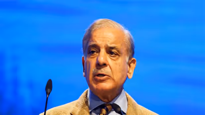 Pakistan Prime Minister Shehbaz Sharif (File Photo/Reuters)