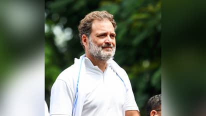 Congress MP Rahul Gandhi (Photo/ANI)