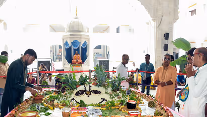 Devotees perform Govardhan puja rituals at ISKCON temple, in Kanpur (Image; ANI)