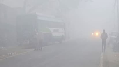 A dense layer of fog covers Bulandshahr (Photo/ANI)