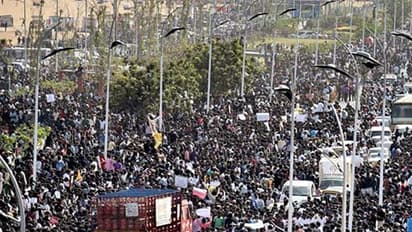 ಜಲ್ಲಿಕಟ್ಟು ಪರ ಪ್ರತಿಭಟನೆ : ತಮಿಳುನಾಡಿಗೆ ಸುಪ್ರಿಂ ಛೀಮಾರಿ