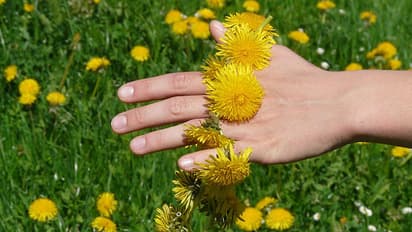 പ്രണയം എത്രയായാലും പൈങ്കിളിയാണ്