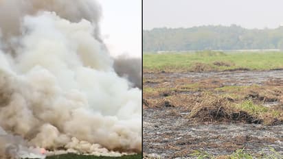 NGT proceedings on Bellandur lake to continue as SC vacates High Court stay order