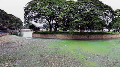 This is the condition of Bengaluru’s Ulsoor Lake, officials unmoved!