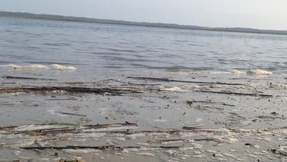 അഴിയിൽ വീണ വിദ്യാർത്ഥി ശ്വാസകോശത്തിൽ ചെളി കയറി മരിച്ചു