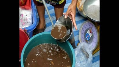 இயற்கை உரமான மீன் அமினோ அமிலம் எப்படி தயாரிக்கணும்? இந்த வழி உதவும்...