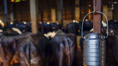 After Kerala now Tamil Nadu suffers shortage of milk