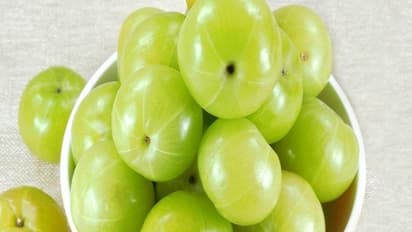 ஆரோக்கிய வாழ்விற்கு விருந்தளிக்கும் நெல்லிக்காயின் அற்புத மருத்துவ குணங்கள் இதோ...