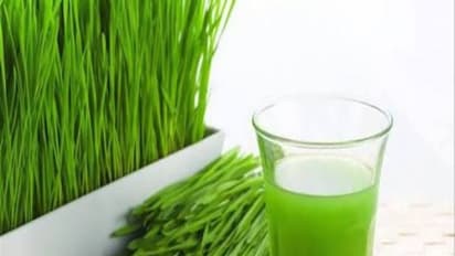 உங்களுக்குத் தெரியுமா? ரத்த புற்றுநோயை குணமாக்கும் சக்தி அருகம்புல் சாற்றுக்கு உண்டு…