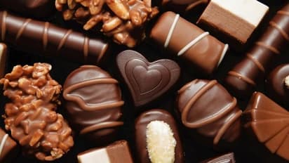 தினமும் ஒரு சாக்லெட் சாப்பிட்டால் இதயநோய் வராதாம்…