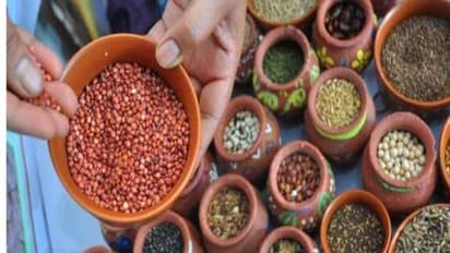 உங்களுக்குத் தெரியுமா? சிறுதானியங்களை தாராளமாக உண்டால் ஆரோக்கியத்திற்கு குறைவே இருக்காது…