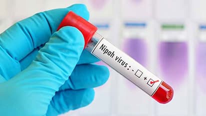 നിപ വൈറസ് പടരുന്നത് തടയാൻ കോഴിക്കോട് ജാഗ്രത തുടരുന്നു