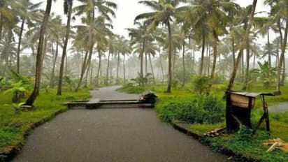 கேரளாவில் தென் மேற்கு பருவ மழை மே 30ந்தேதியே தொடங்கும் -இந்திய வானிலை மையம் அறிவிப்பு