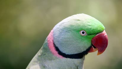 You will not believe what CID found in Airtel server room of Bengaluru