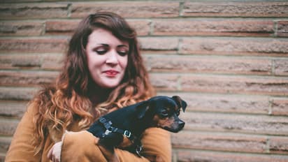 ಗಂಡನಿಂದ ಪಾರಾಗಲು ಸ್ಪೆಷಲ್ ನಾಯಿಗಳನ್ನು ಖರೀದಿಸುತ್ತಿದ್ದಾರೆ ಸ್ಪೇನ್'ನ ಮಹಿಳೆಯರು!