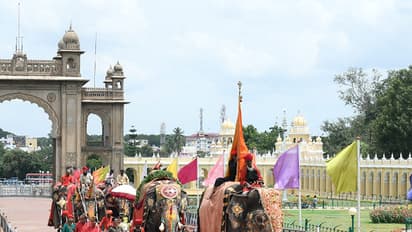 Mysuru Dasara: COVID-19 test must for those taking part in Jamboo Savari