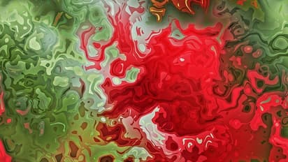 സബ് കളക്ടറുടെ വസതിക്കു മുൻപിൽ 50 മീറ്റർ ഭാഗത്ത് രക്തക്കറ; പരിഭ്രാന്തി, ഒടുവില് സത്യം കണ്ടെത്തി