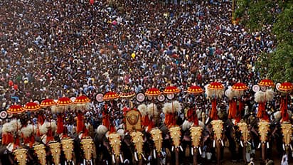 Thrissur Pooram kicks off: Where to watch festival live online