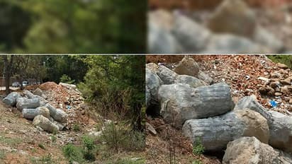 Bengaluru Metro under scanner after cement pillars found in lake