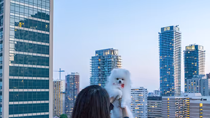 19-year-old Bengaluru girl kills self over death of pet dog?