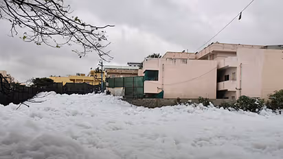 This picture of Bellandur lake will shock you, who cursed the lake?