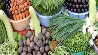 இந்த காய்கறிகளை எந்தெந்த சூழ்நிலைகளில் பயிரிடணும்? இதை வாசிச்சு தெரிஞ்சுக்குங்க…