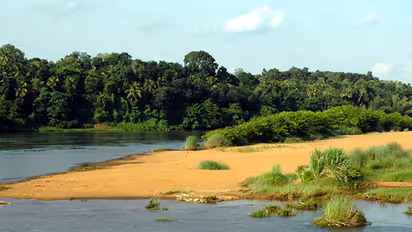 River Tungabhadra turns green; Ecologists blame chemical fertilisers