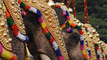 തൃശ്ശൂര് പൂരത്തിന് 15 ആനകളെ എഴുന്നള്ളിക്കും; നിലപാടിൽ ഉറച്ചു പാറമേക്കാവ്